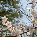 파주스타디움 이미지