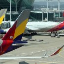 아시아나 이미지