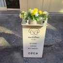 모란중앙약국 이미지