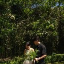 해뜨는 숲속 | 제주스냅 | 천미천 웨딩스냅 후기 – 숲과 호수가 공존하는 고요한 제주 야외 웨딩스냅