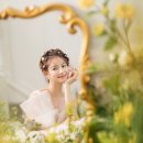 스튜디오카멜리아