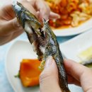 원조싱싱횟집