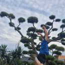 엘림 호스텔 이미지