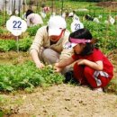 다둥이농장 이미지