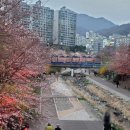 파리바게뜨 호평역점 이미지