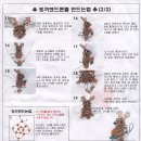 당근든토끼