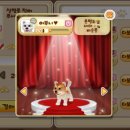 써니퍼피 이미지