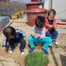 효준농장 이미지