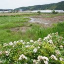 진주 숙종 사제문비 | 6. 진주 남강이 만든 그윽한 배후습지의 풍경