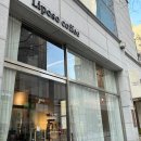 리포소커피 | 전주 신시가지 감성 카페 아늑한 리포소커피
