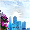 해운대해변로 이미지