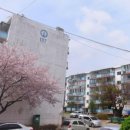 산북주공아파트 이미지