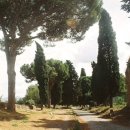 로마의 소나무/ I Pini di Roma/ Pines of Rome 이미지