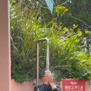 스마일제주힐링마을 | 제주 구두미포구 숨은 명소! 에메랄드빛 바다에서 힐링하고 온 후기