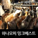 베스트E&C