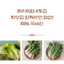 스테디독 | [5차공구] 인생김치 단.독.구.성 특가!!! 포기,열무,총각김치 공동구매