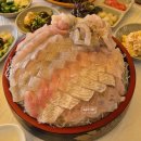 수한회집 | 고성바다뷰횟집 가진항맛집 강릉횟집 아이와 자연산회