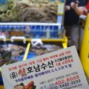 가락시장 맛집 가락몰 회센터 광신의 단골집 - 진짜 신선한 고급활어와 대게 /호남수산 / 해금강