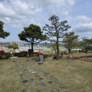 마당(삼남) | 울산 언양 자수정 동굴 근처 카페 추천 단안