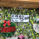 손큰할매 | 기장 연화리 전복죽 맛집 추천, 현지인도 줄 서는 손큰할매 기장연화리본점