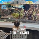 아이랑 하남 스타필드 물고기 체험 수족관 카페 드 아쿠아 내돈내산