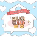 일산교하상회 | [청담동 맛집, 광교 카페] 간만에 올리는 써니의 일상