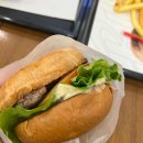 (주)제주현대렌트카 이미지