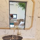 퀘렌시아 애견 이미지