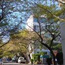 동대신1동 주민센터 이미지