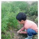 찬우농장 이미지