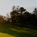 금성클럽 이미지