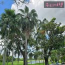 호텔C.C | 우리여행 ] 카오키여우 컨트리 클럽 (Khao Kheow C.C) : 파타야 우기 연휴 라운딩 시라차 골프 후기🌴