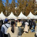 빵지순례/ 대전빵축제 일요일 오후 방문후기