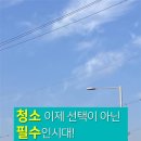 다손식당 이미지