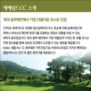 로얄항공여행사 - 남동구 백범로 357 | 로얄항공여행사