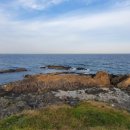 풍뎅이 별관 이미지