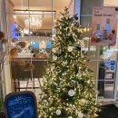 신사동-23 | [압구정역 베이커리]신사동 분좋카 주차가능카페 신사 디저트카페_파티클리에