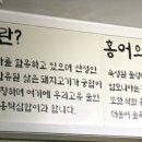 광양칼국수 보쌈 이미지