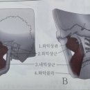 라파케어 이미지