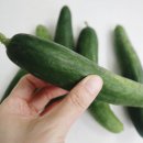 농부의키친 이미지