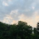 새롬이네집 이미지