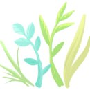 봉명청솔아파트(3차) 이미지