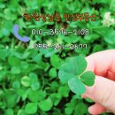 신월동130 이미지