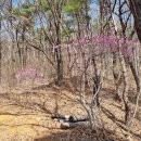 소석농장 이미지