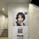 지아 애견샵 | 장기역 미용실:: 아이디헤어 지아실장님 레이어드커트+클리닉 후기