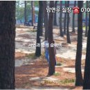 주문진시장약국 네이버블로그