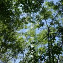 임기보건진료소 | 오산.용인.무봉산(209m)등 13산[송장산(147m).국사봉(171m).성지봉(106m).앞산(64m).목골뿌리산(155m...