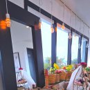 하도바다 이미지