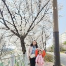 다이소전주하가점 이미지