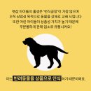 치성농장 이미지